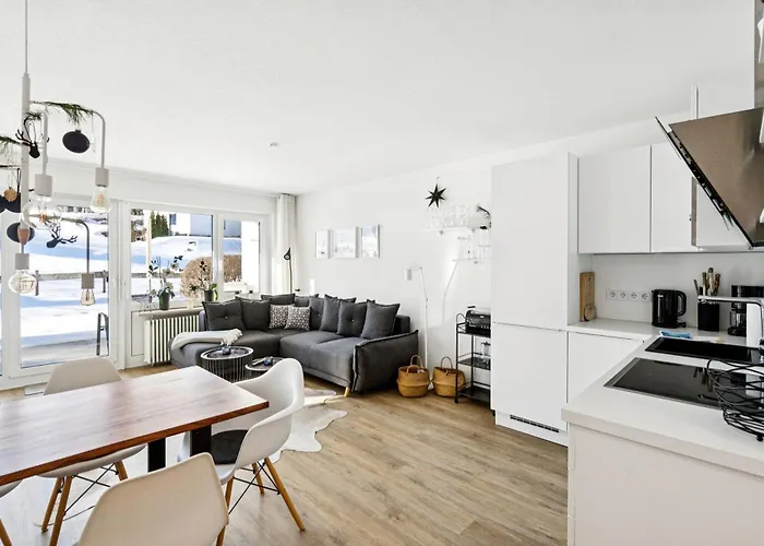 Schneerosenbluete Steibis Mit O Oberstaufen